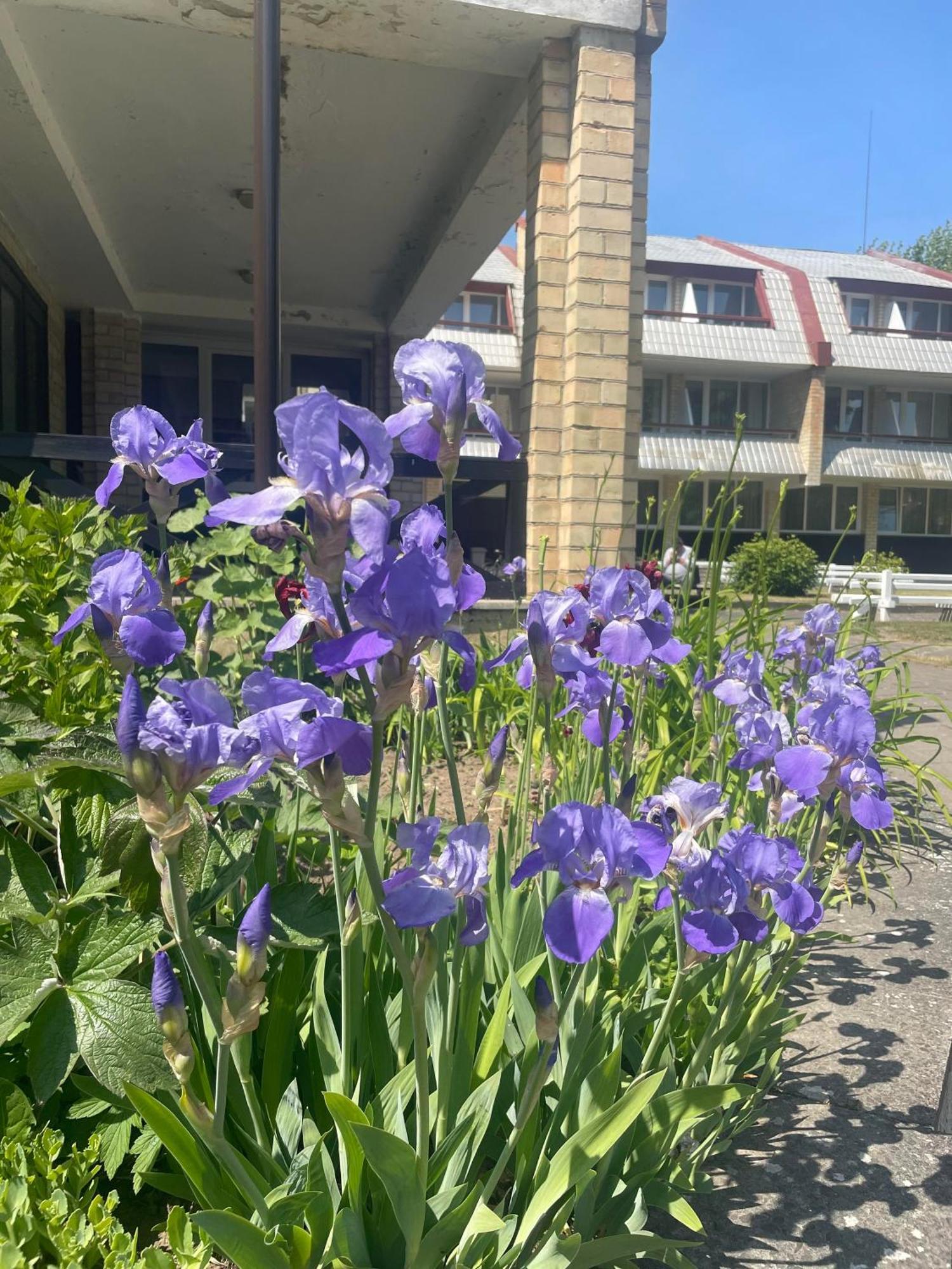 Vila Kastytis Nida Exteriér fotografie